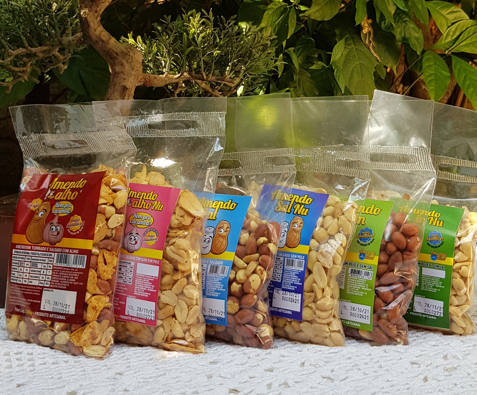 Portfolio 01 reduz.jpg